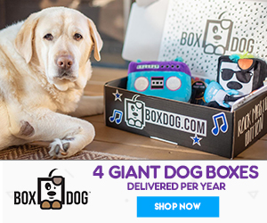 BoxDog - Monthly, Quarterly and Annual Plans