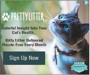PrettyLitter™ - Delivered Monthly