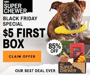 Super Chewer - $5 First Box Black Friday Special!